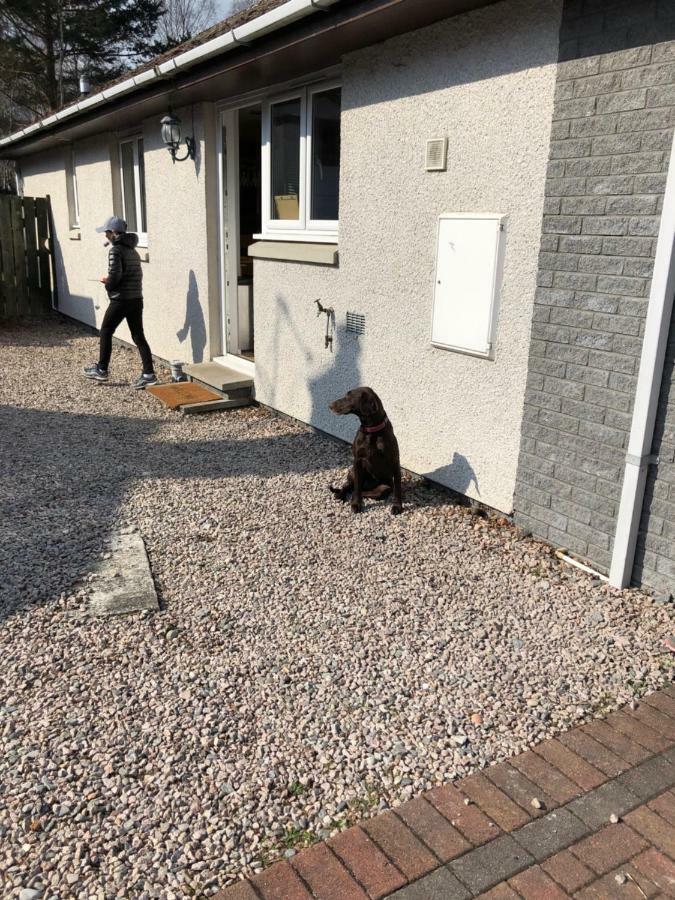 Linmore Aviemore Eksteriør bilde