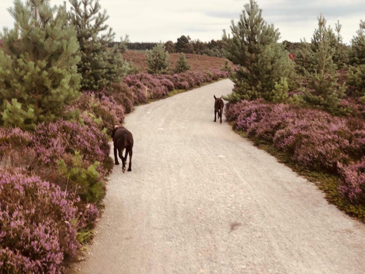 Linmore Aviemore Eksteriør bilde