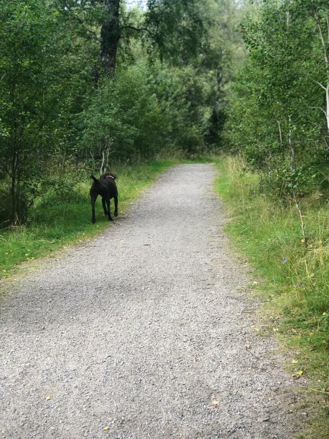 Linmore Aviemore Eksteriør bilde